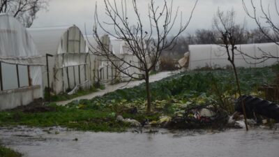 Çanakkale’de sel: Seralar sular altında