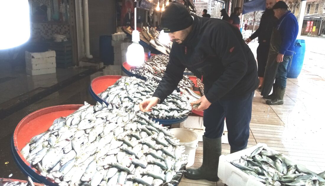 Çinekopta ‘kar’ bereketi! Fiyatı düştü