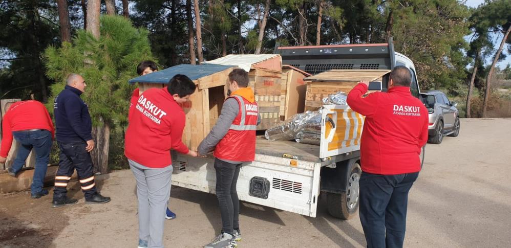 Bursa’da fabrika atıkları can dostlarına yuva oluyor