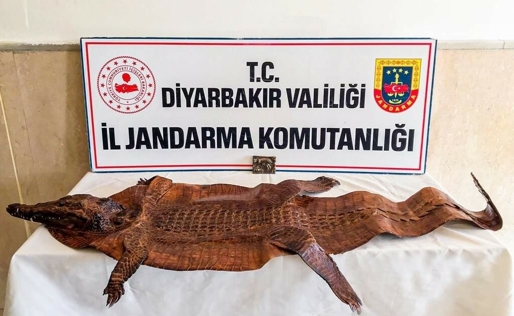 Tam 2 milyon dolara satacaklardı! Suçüstü yakalandılar