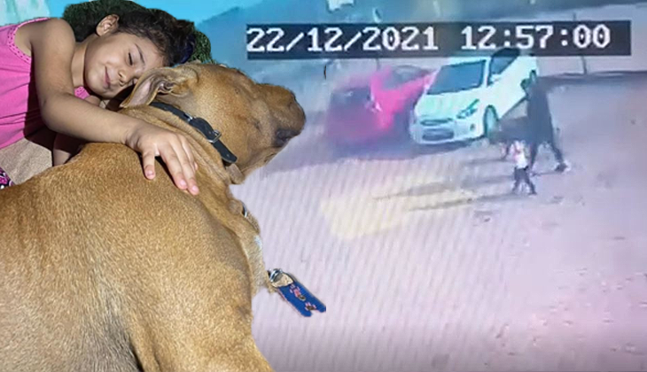 Küçük çocuğun yaralandığı pitbull saldırısında yeni görüntüler ortaya çıktı