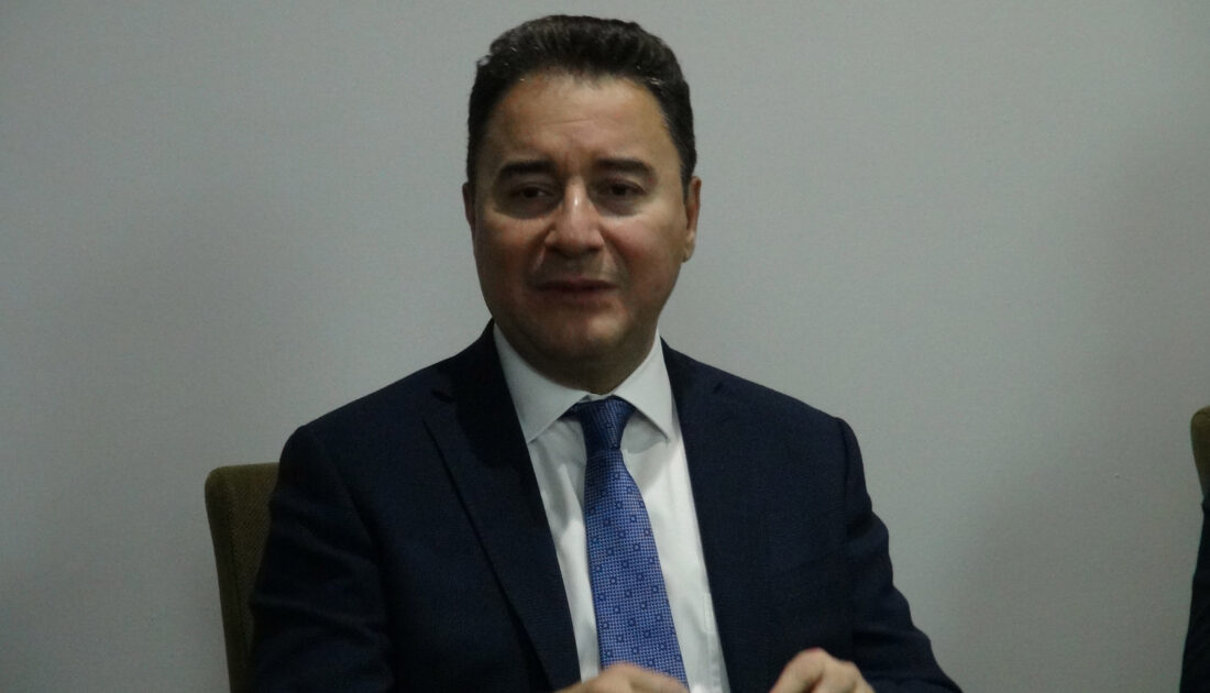 Babacan: Bu kadar büyük gidiş geliş ekonomiye çok ağır gelir