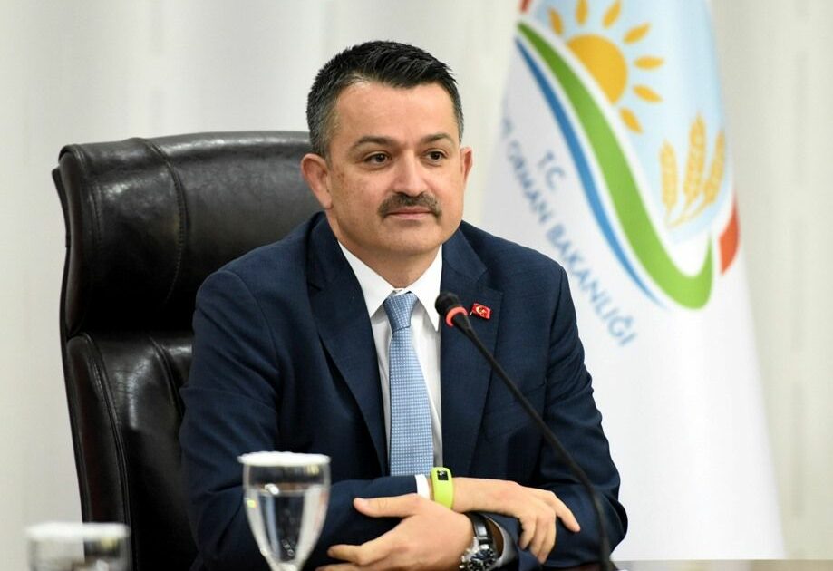 Pakdemirli: Enflasyonun üzerindeki müsilaj da temizlenecektir