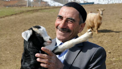 Bingöllü Fenomen çoban, koyunlarının hepsini satmış