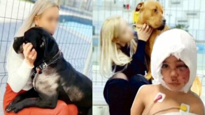 Pitbull dehşetine ilişkin görüntülerin bir kısmı silinmiş!