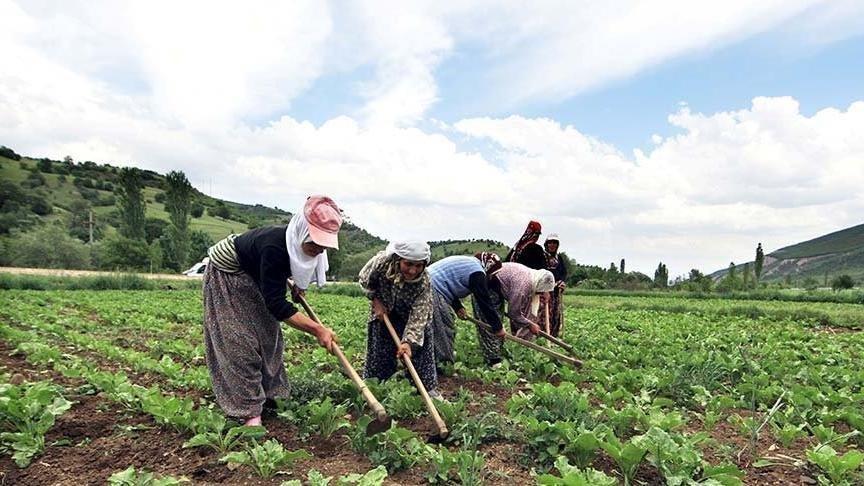 Tarımda büyük kopuş!