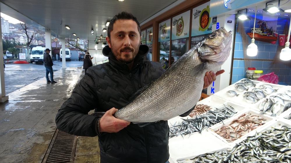 Bu levrek tam 8 kilo! Fiyatı ise dudak uçuklattı