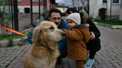 Osmangazi’de can dostlara hem şifa, hem sıcak yuva