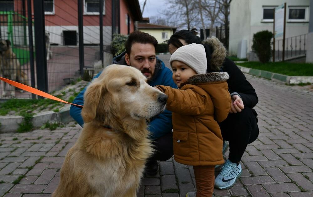 Osmangazi’de can dostlara hem şifa, hem sıcak yuva