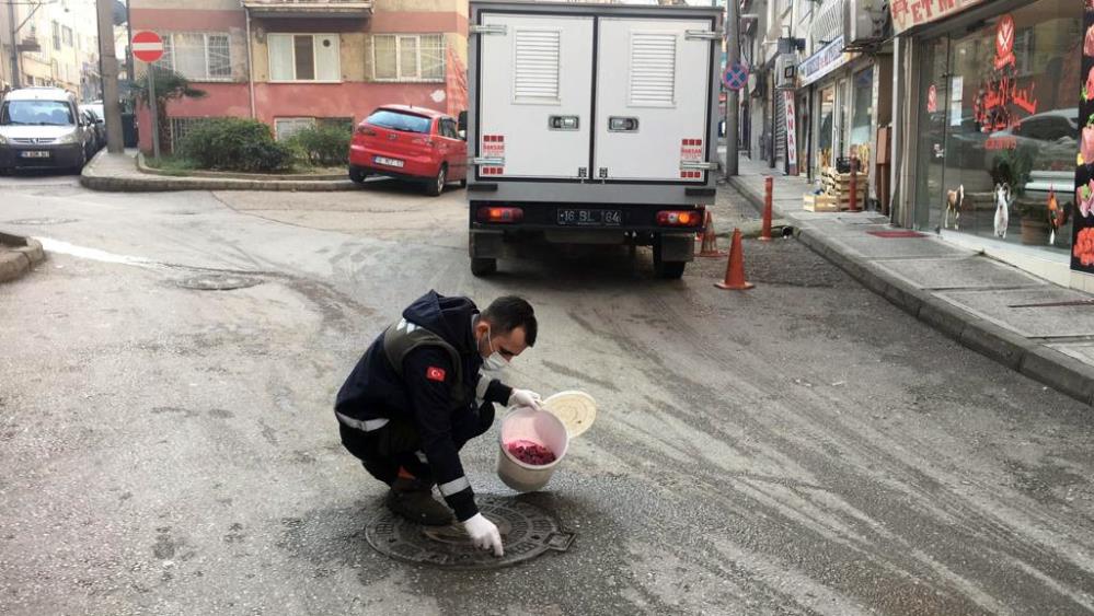 Osmangazi’de haşerelere karşı ilaçlama