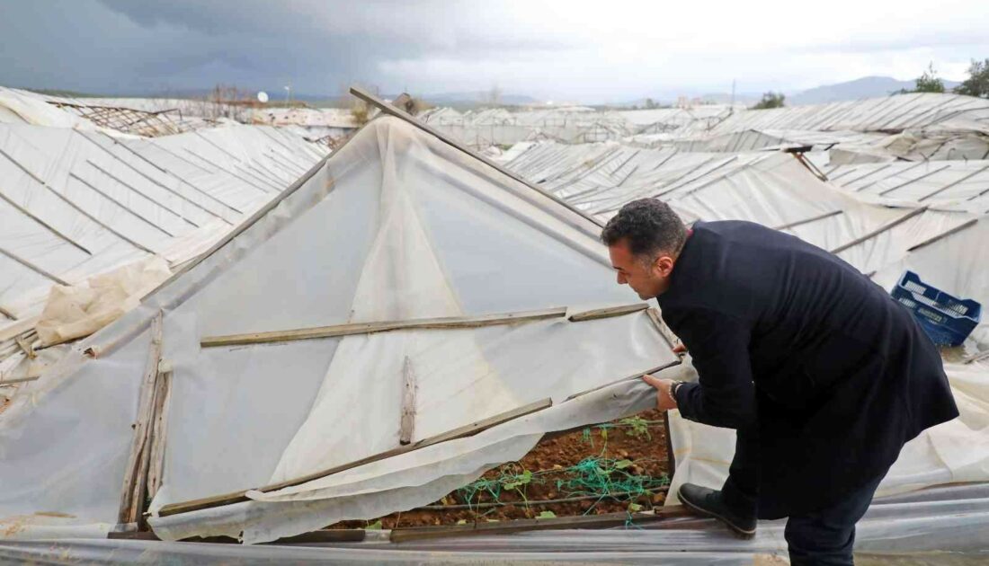 Fırtına, Alanya’da seraları yerle bir etti