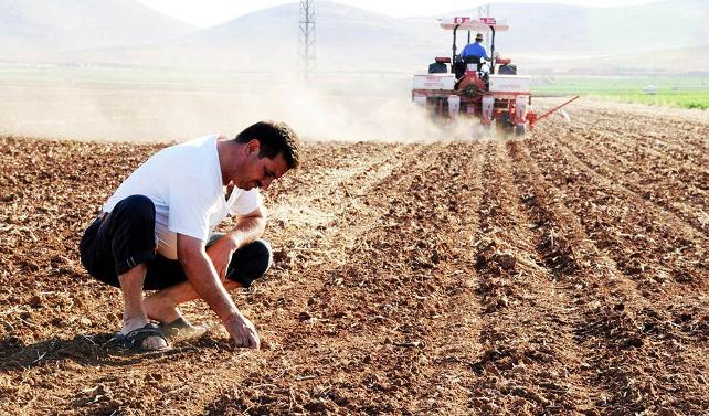 Tarımda endişelendiren beklenti! Ziraat Mühendisleri Odası Başkanı Suiçmez’den uyarı