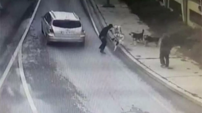 Bakırköy’de yürüyüş yapan kişi 6 köpeğin saldırısına uğradı