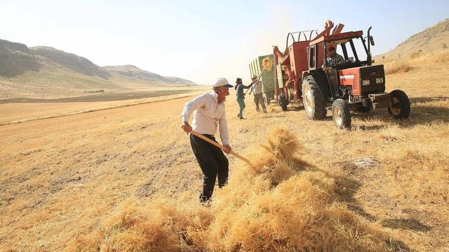 Artan girdi maliyetleri tarımsal üretimi zora sokuyor