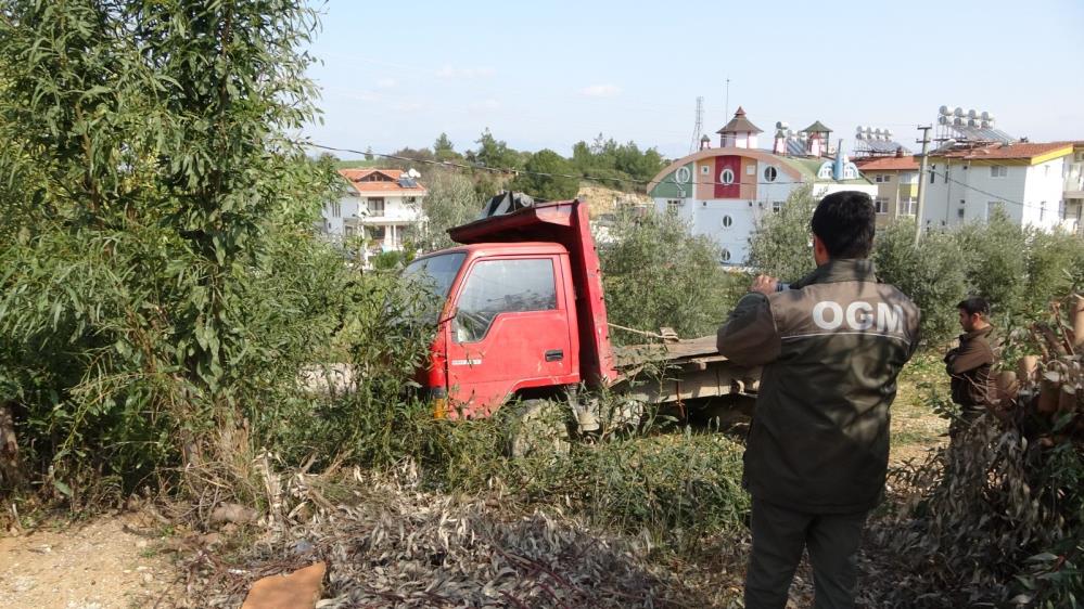 ‘Orman görevlisiyim’ dedi, 50 ağacı keserek götürdü