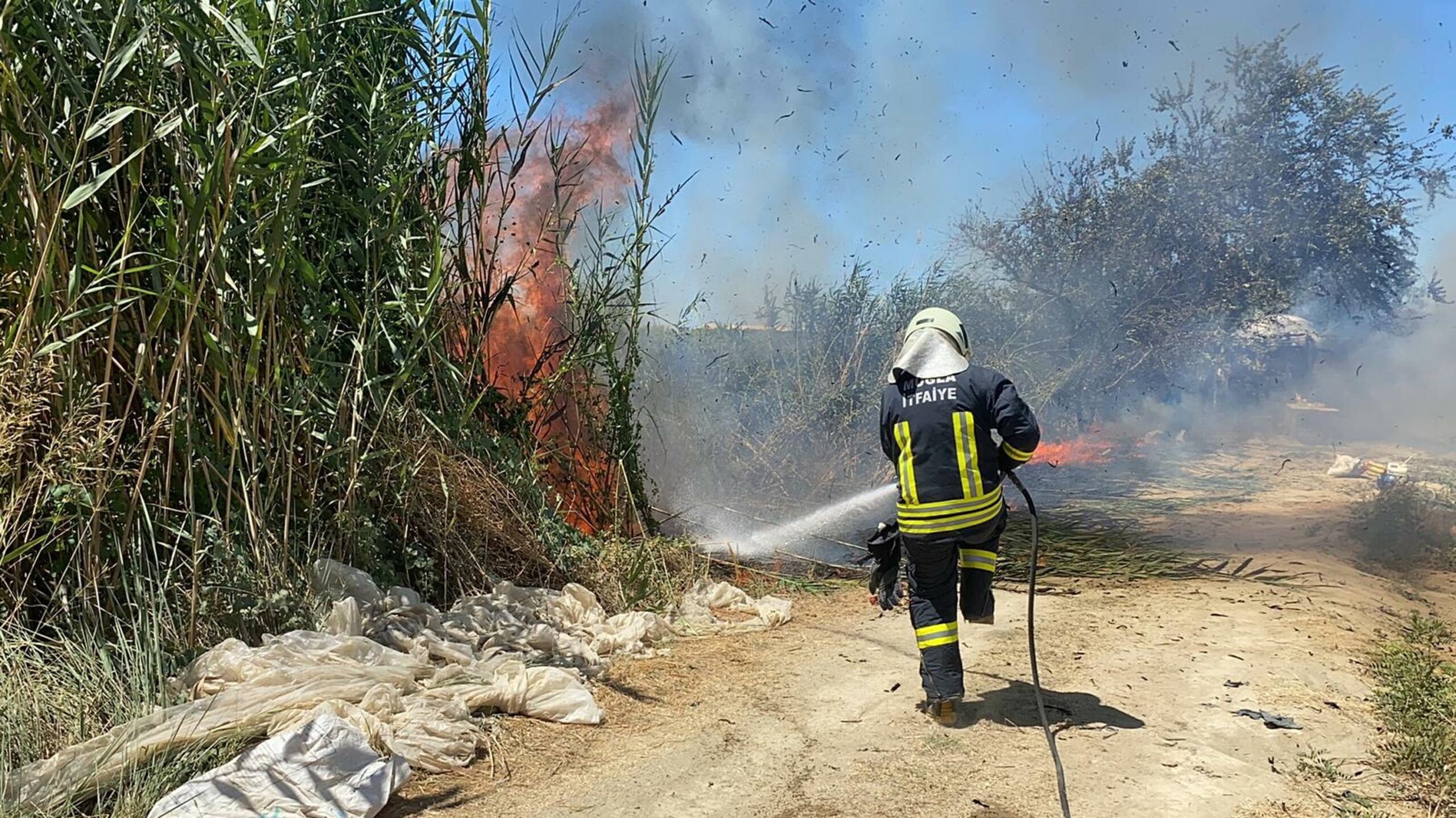 Muğla’da minibüsteki yangın sazlığa sıçradı