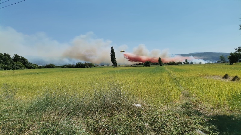 Muğla’da tarım arazisinde yangın