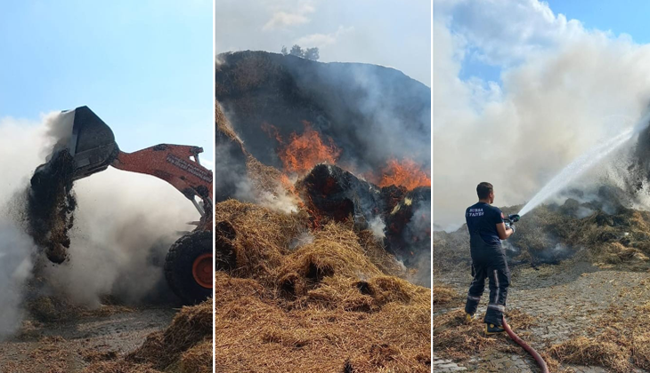 Bursa’da hayvan çiftliğinde yangın