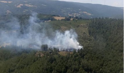 Bursa’da orman yangını… Kısa sürede söndürüldü!