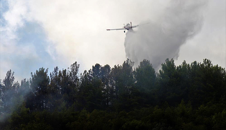 Antalya’da 5 hektar orman yandı