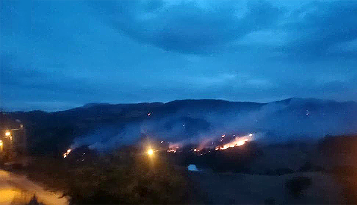 İzmir’deki orman yangını kontrol altına alındı