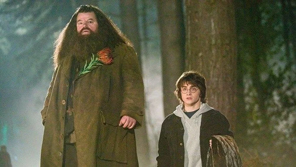 Harry Potter yıldızı Robbie Coltrane’nin ölüm nedeni belli oldu