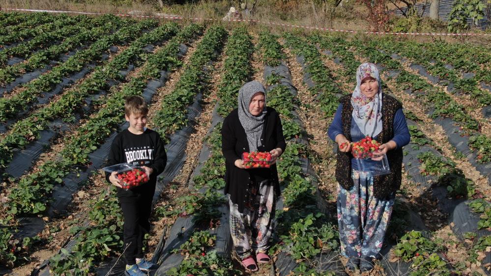 Bursa’da kadınların hayatı bir fide ile değişti