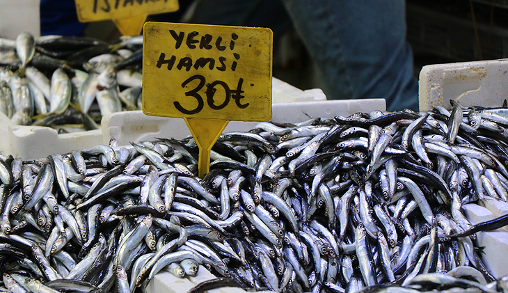 Hamsinin fiyatı düştü, talep azaldı