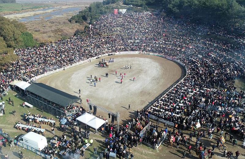 Efes Selçuk Deve Güreşleri Festivali coşkuyla geçti