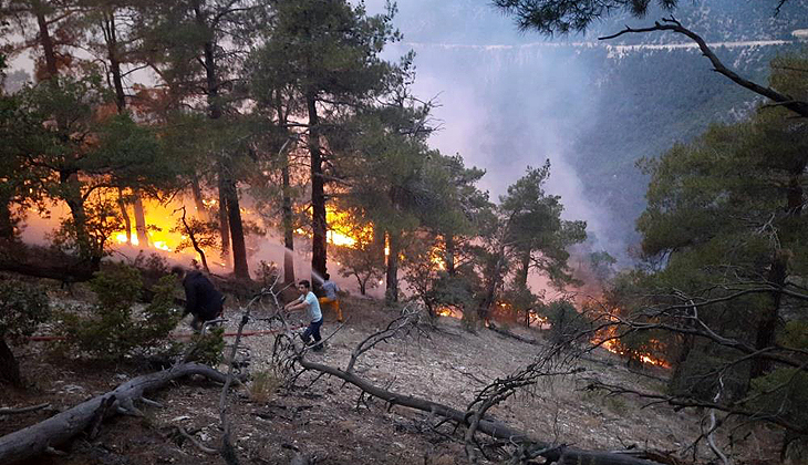 Bolu’da ormana düşen yıldırım yangına neden oldu