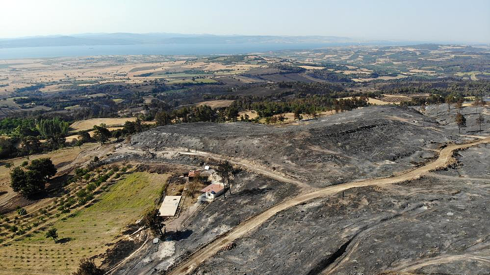 Çanakkale’de 3 gündür süren orman yangını kontrol altına alındı