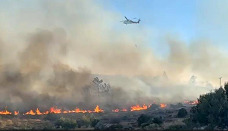 Bodrum Türkbükü’nde yangın