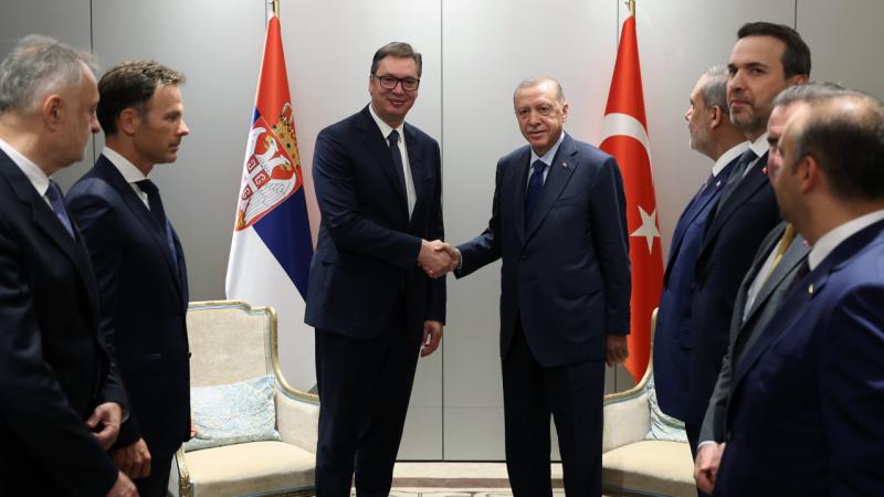 Erdoğan, Sırbistan Cumhurbaşkanı Vucic ile görüştü