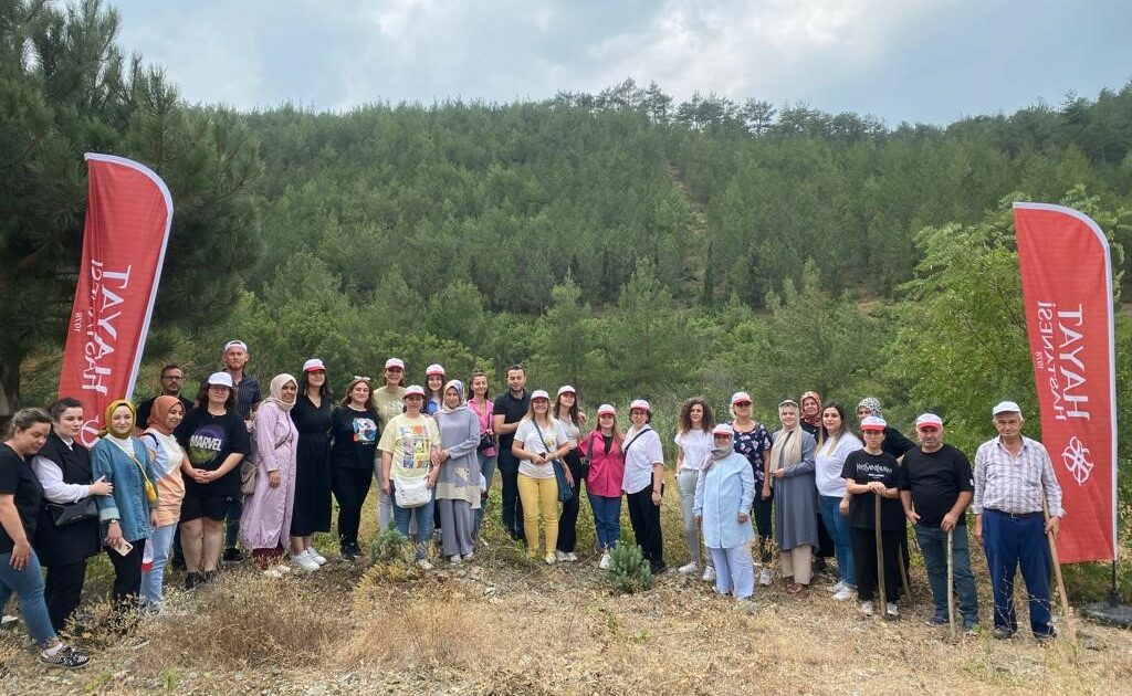 Bursa’da sağlık çalışanları ağaçların da bakımını yaptı