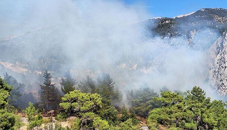 Antalya’da orman yangını