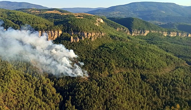 Karabük’te orman yangını