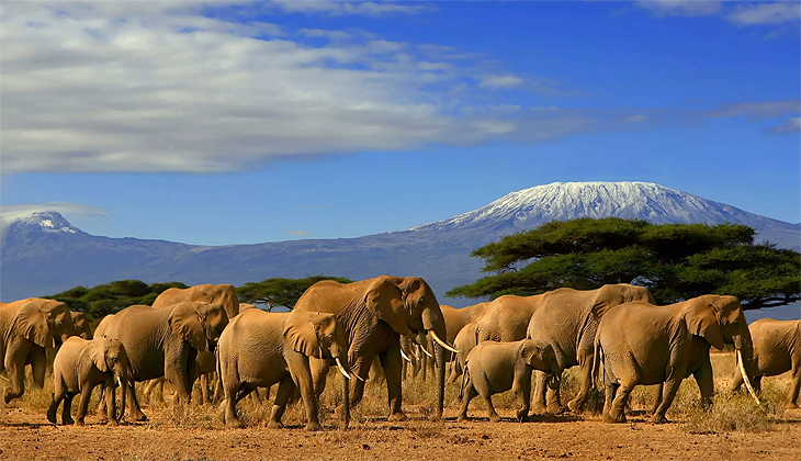 Kenya, tüm ülkeler için vizeyi kaldırmayı planlıyor