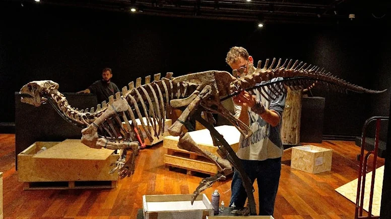 Yaklaşık 150 yıllık dinozor iskeleti açık artırmada