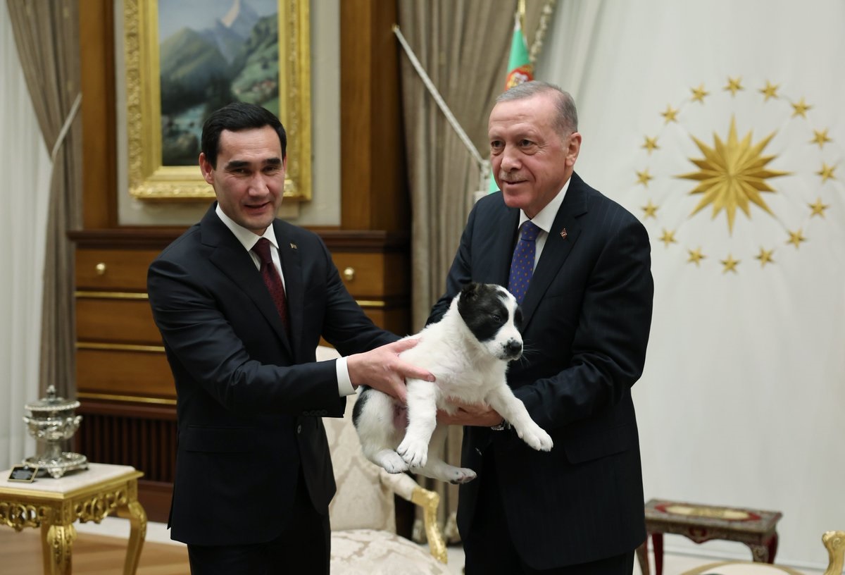 Erdoğan ve Berdimuhamedov birbirlerine köpek hediye etti