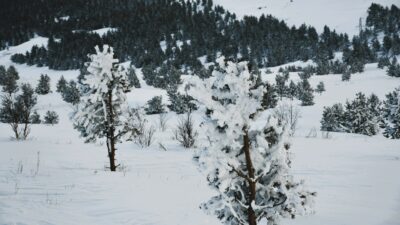 Ardahan eksi 30 dereceyi gördü