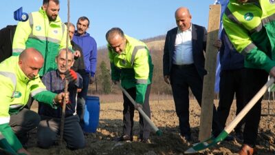 Büyükşehir’den kestane üretimine destek