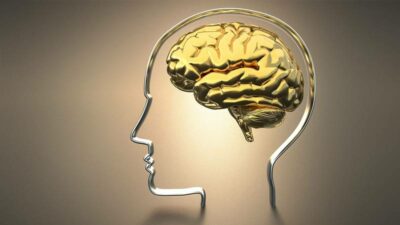 Bilim insanları beyin için en iyi iki aktiviteyi belirledi