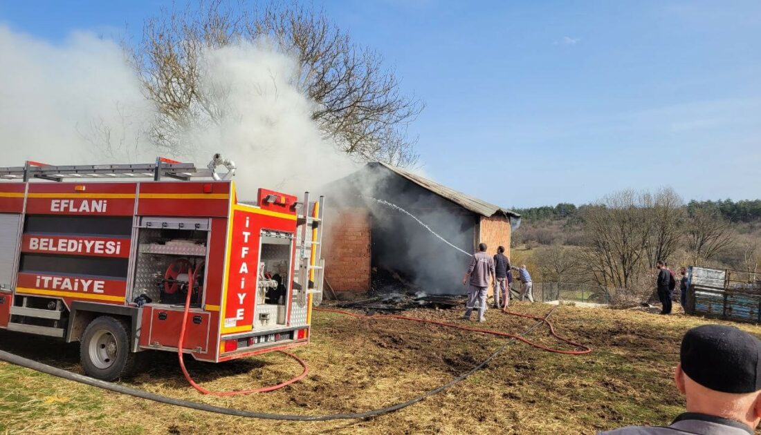 Samanlık yangını itfaiye ekiplerince söndürüldü