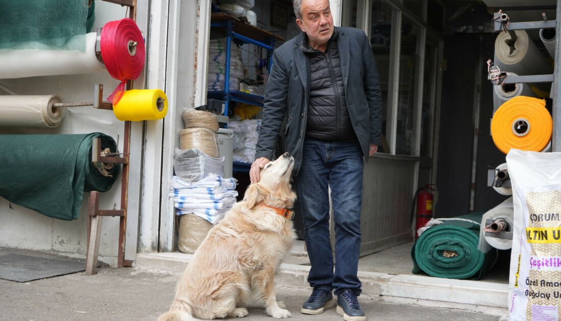 Köpeğin doktora havlaması sahibine binlerce TL’ye patladı