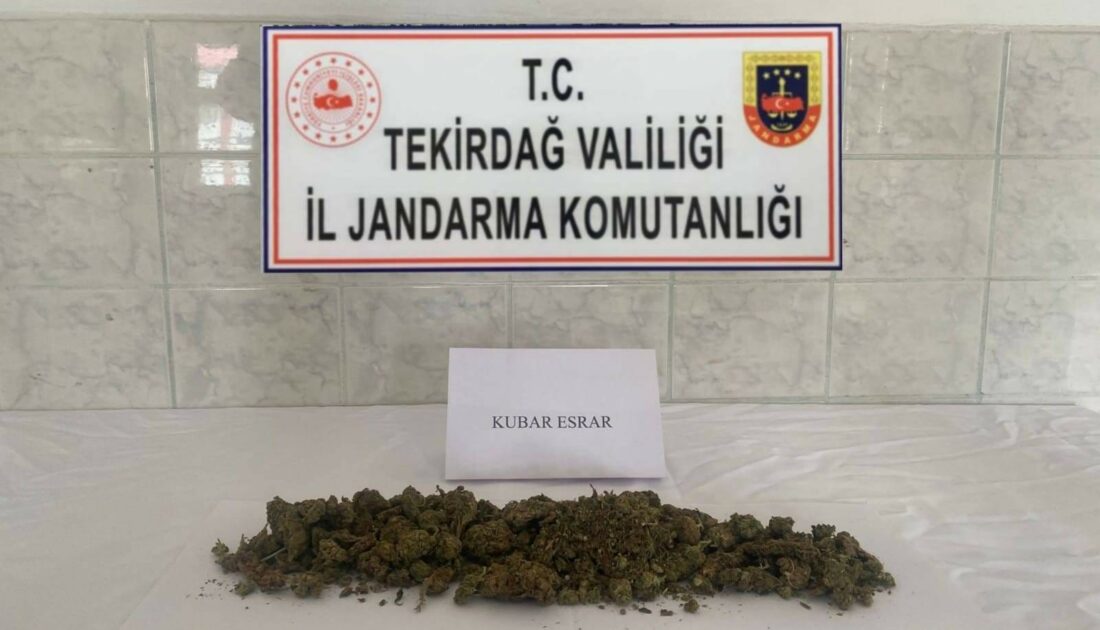 Jandarmadan uyuşturucuya geçit yok: 10 kişi yakalandı