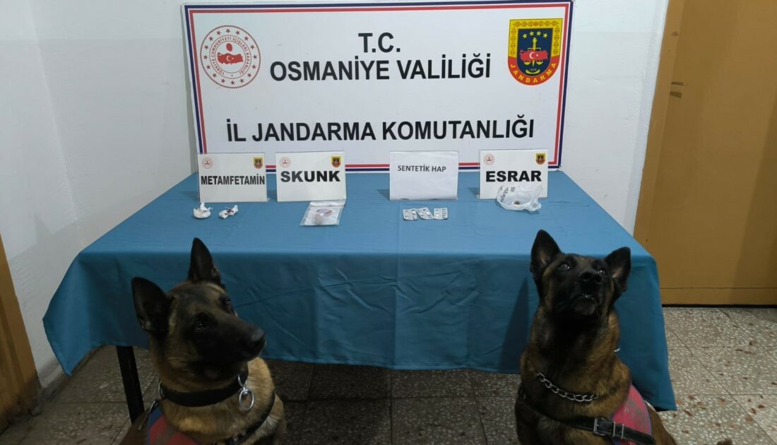 Jandarmadan uyuşturucu ve kaçakçılık operasyonları: 22 gözaltı