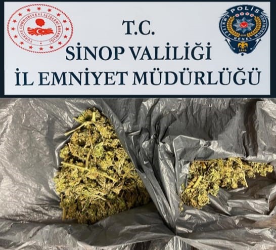 Sinop’ta iş yerinden uyuşturucu çıktı