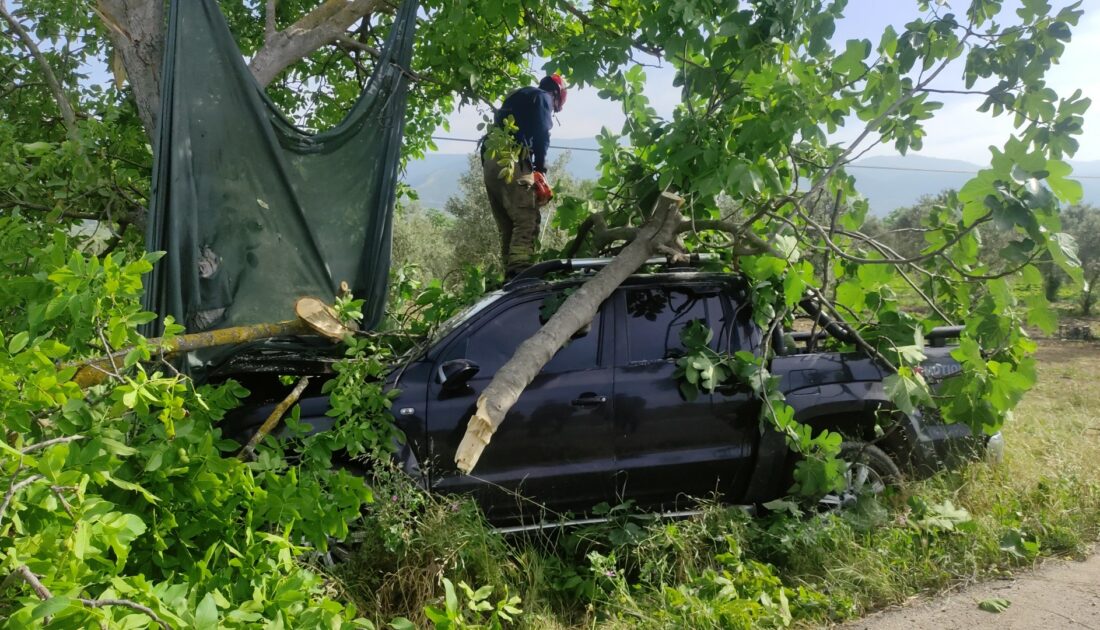 Bursa’da kamyonet ağaca çarptı