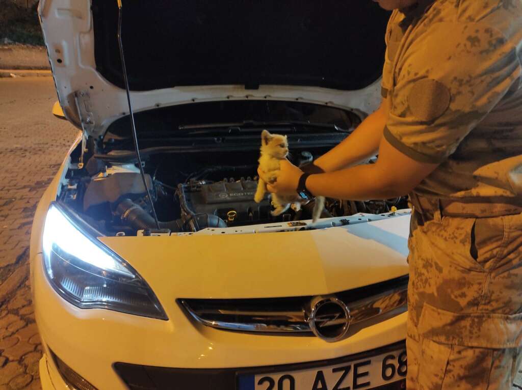 Aracın motoruna giren kedi yavrusu jandarma tarafından çıkarıldı