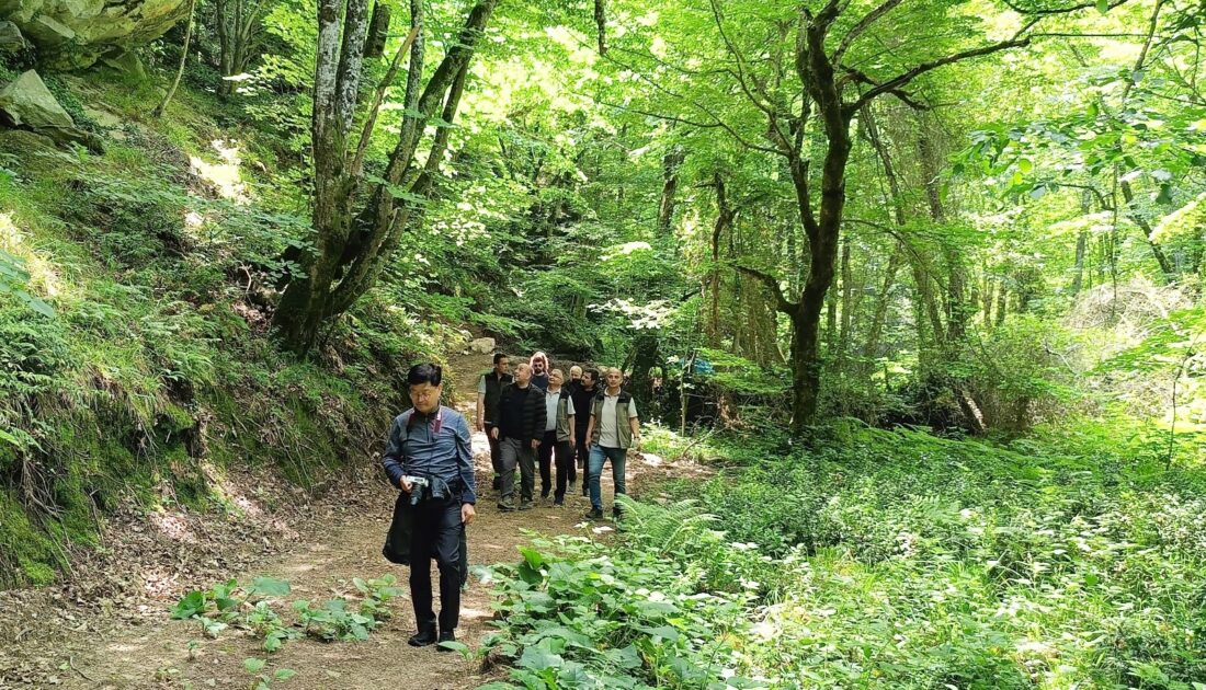 Bursa ormanları ‘terapi ormanı’ için mercek altında